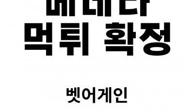 아이디 차단 후 300만원 먹튀한 베네타 먹튀사이트 확정